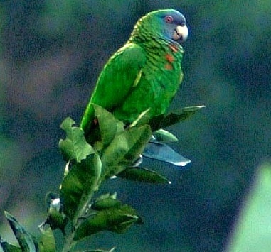 Foto 6